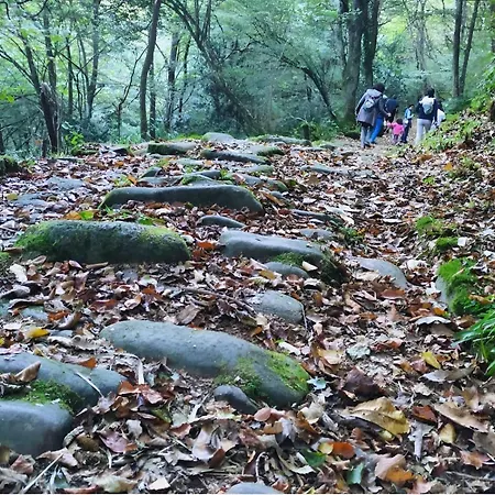 Casa Angela Hébergement de vacances *