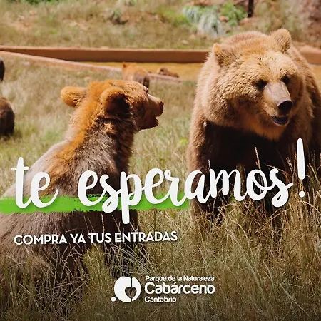 Casa Angela * Las Fraguas