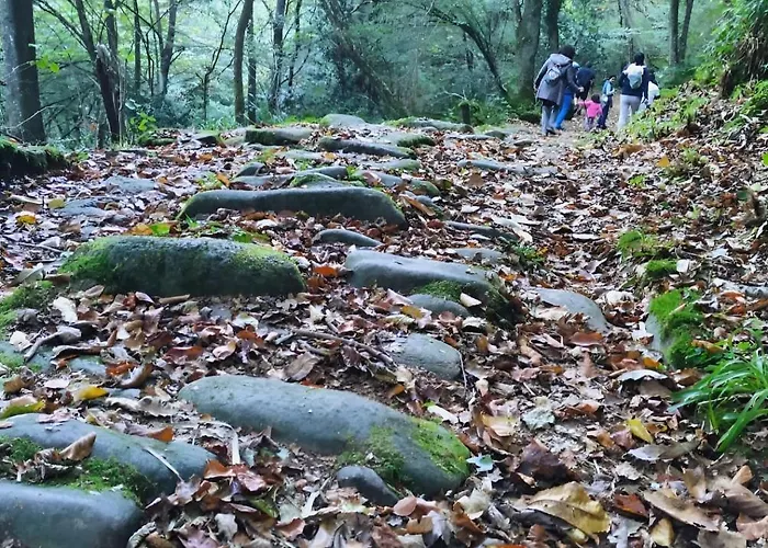 Casa Angela Casa de Férias *