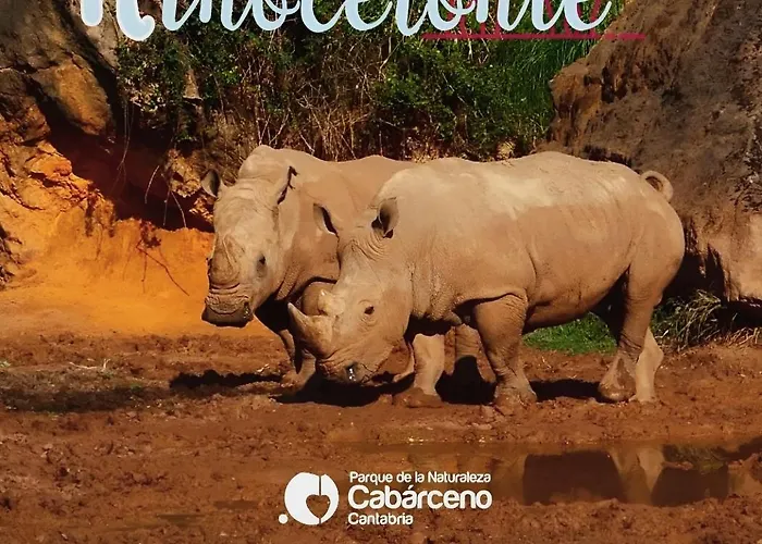 Casa de Férias Casa Angela Las Fraguas