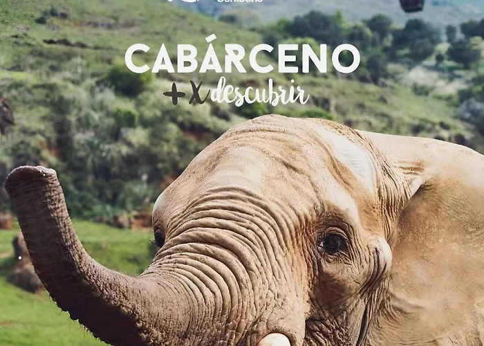 Casa Angela Casa de Férias